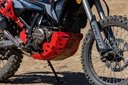 Adventure Spec Rieju Rally 307 Brake Pump Guard
