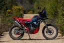 Adventure Spec Rieju Rally 307 Brake Pump Guard